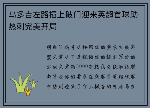 乌多吉左路插上破门迎来英超首球助热刺完美开局 乌多吉左路插上破门迎来英超首球助热刺完美开局